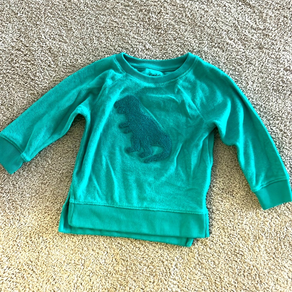 Cat and Jack 2T Dino terry sweatshirt. Super cute! Great condition.